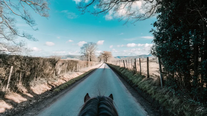 Wide gentle bridleway through Cumbrian valley suitable for novice riders