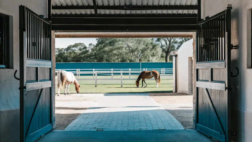 Stonetrail Riding Centre entrance at Street Farm with horses in paddock